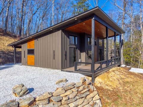 Photo of 209 Spring Meadows, Bryson City, NC 28713 (MLS # 26042912)