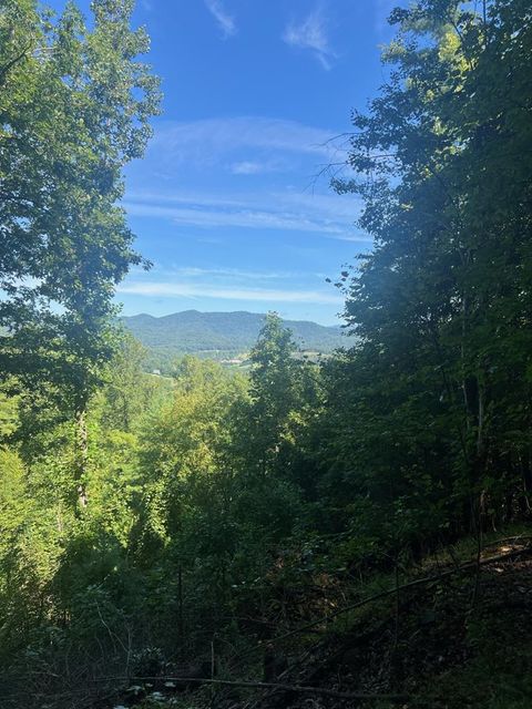 Photo of Lot 86R Elkhorn Ridge, Franklin, NC 28734 (MLS # 26041960)