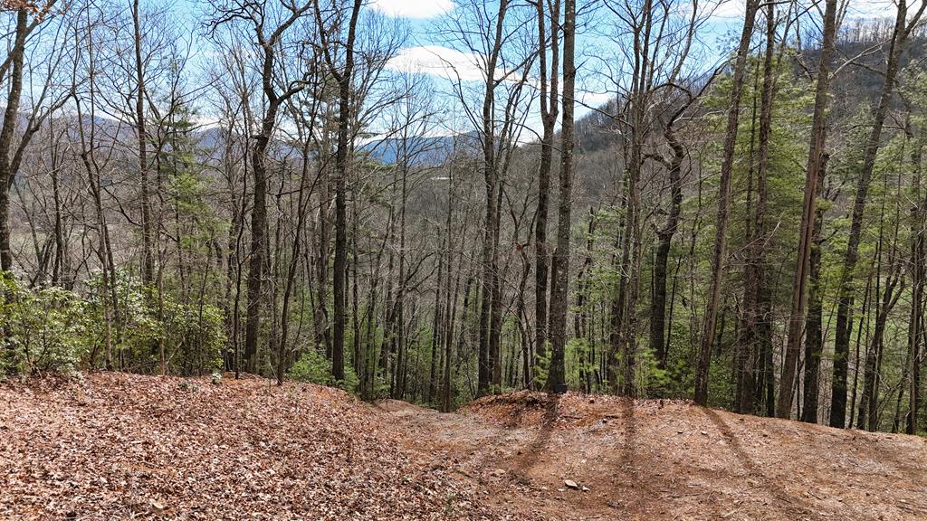 301 Laurel Falls Rd
