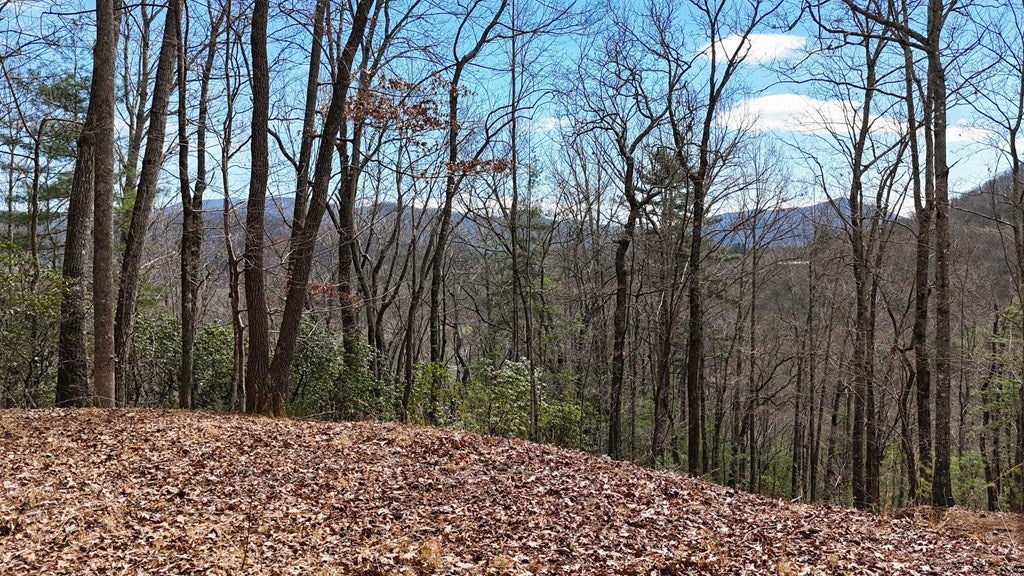 301 Laurel Falls Rd