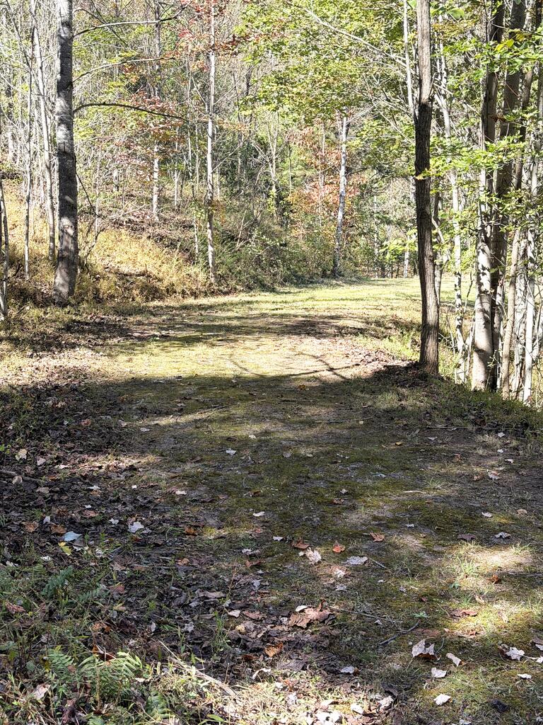 Lot 15 Mane Loop Ln