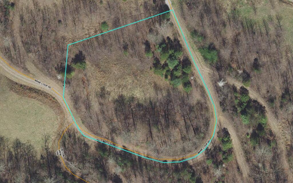 Lot 15 Mane Loop Ln