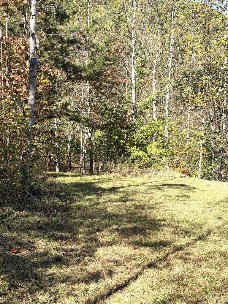 Lot 15 Mane Loop Ln