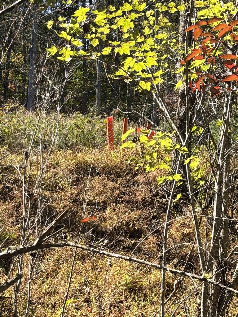 Lot 15 Mane Loop Ln