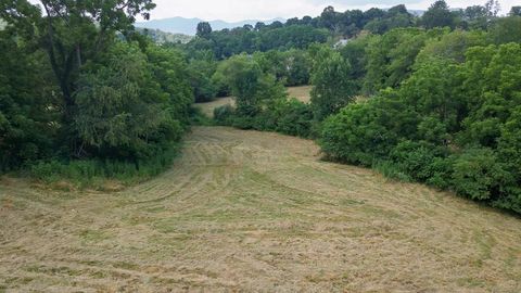 Photo of 225 Iotla Church Road, Franklin, NC 28734 (MLS # 26041578)