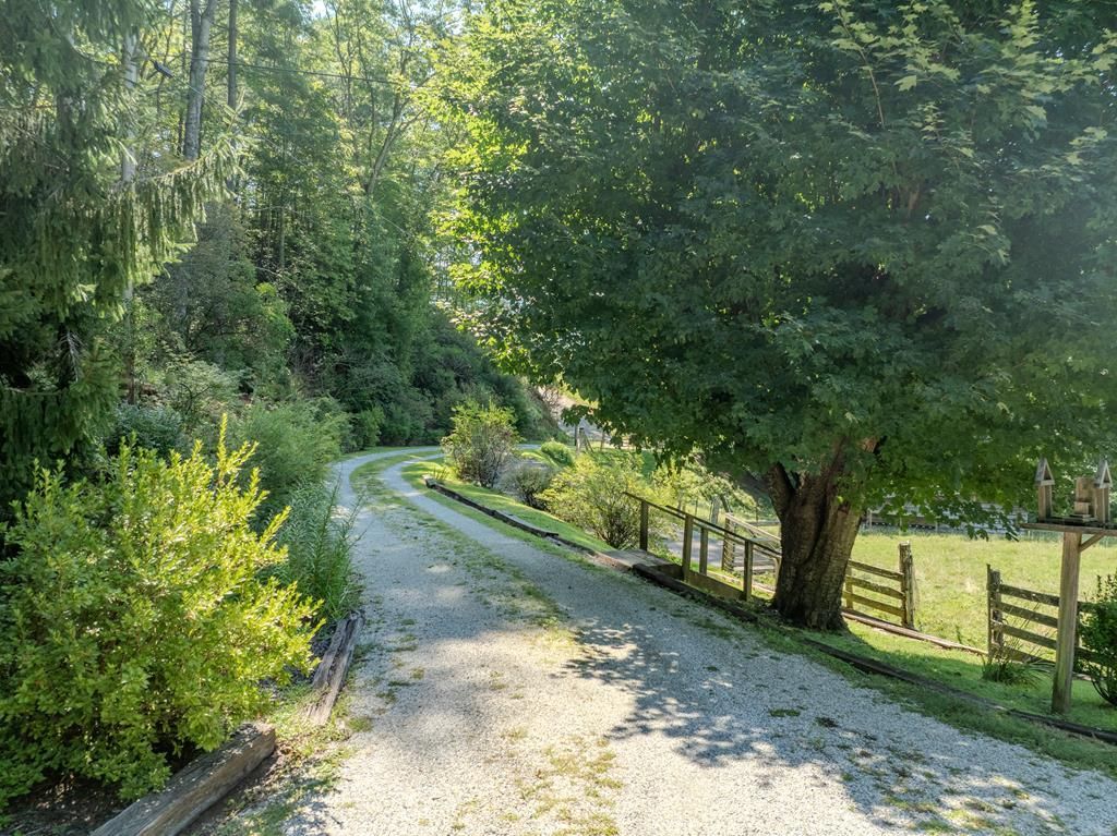 Photo of 365 Ed Jenkins Road, Bryson City, NC 28713 (MLS # 26041898)