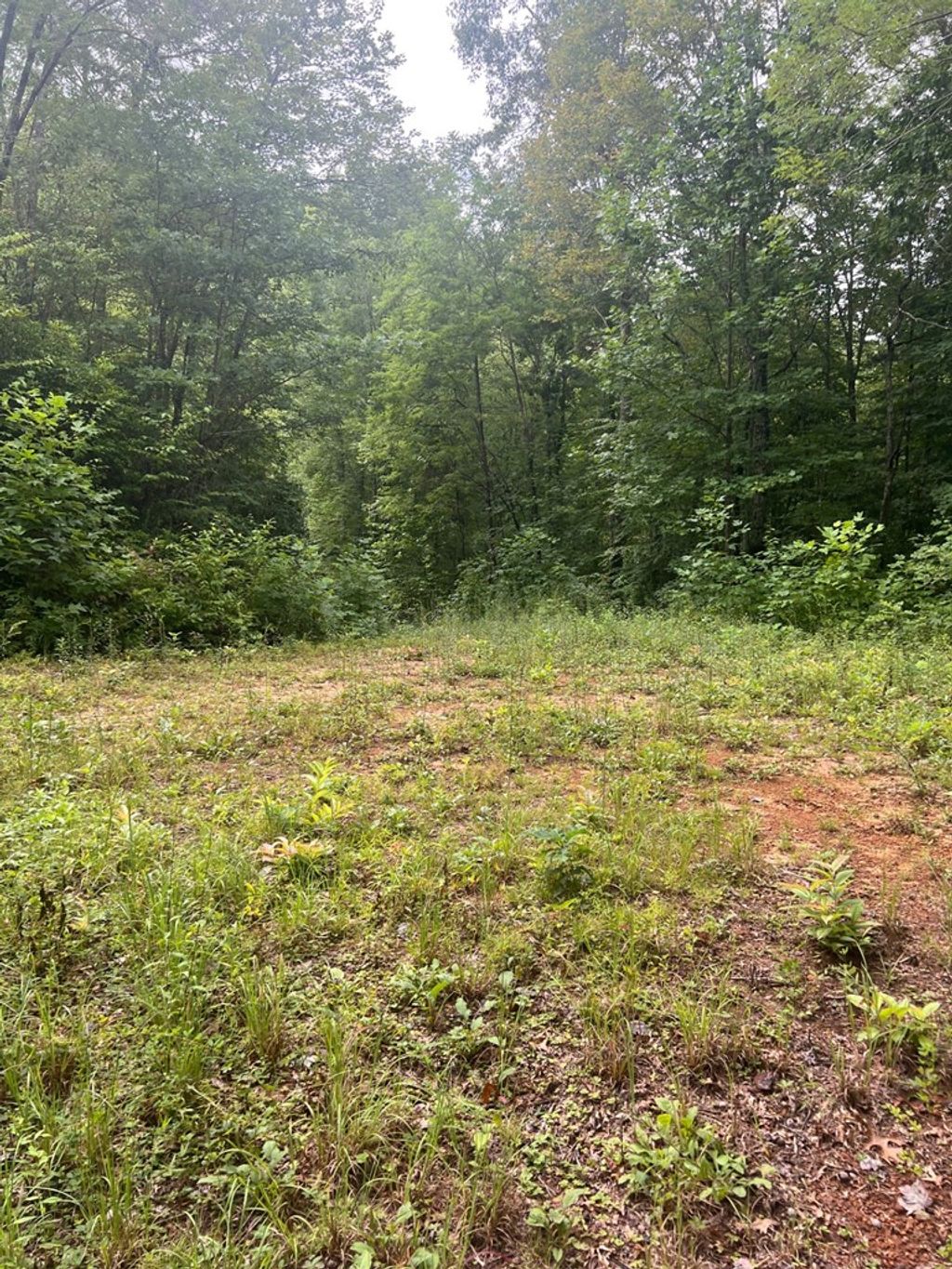 Photo of Lot 93 Garnet Ridge, Sylva, NC 28779 (MLS # 26041860)