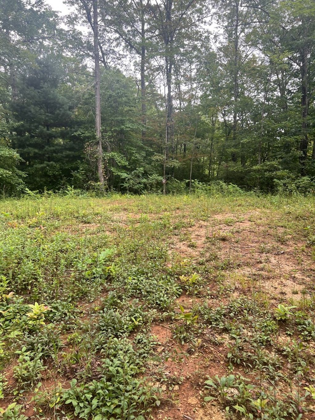 Photo of Lot 93 Garnet Ridge, Sylva, NC 28779 (MLS # 26041860)