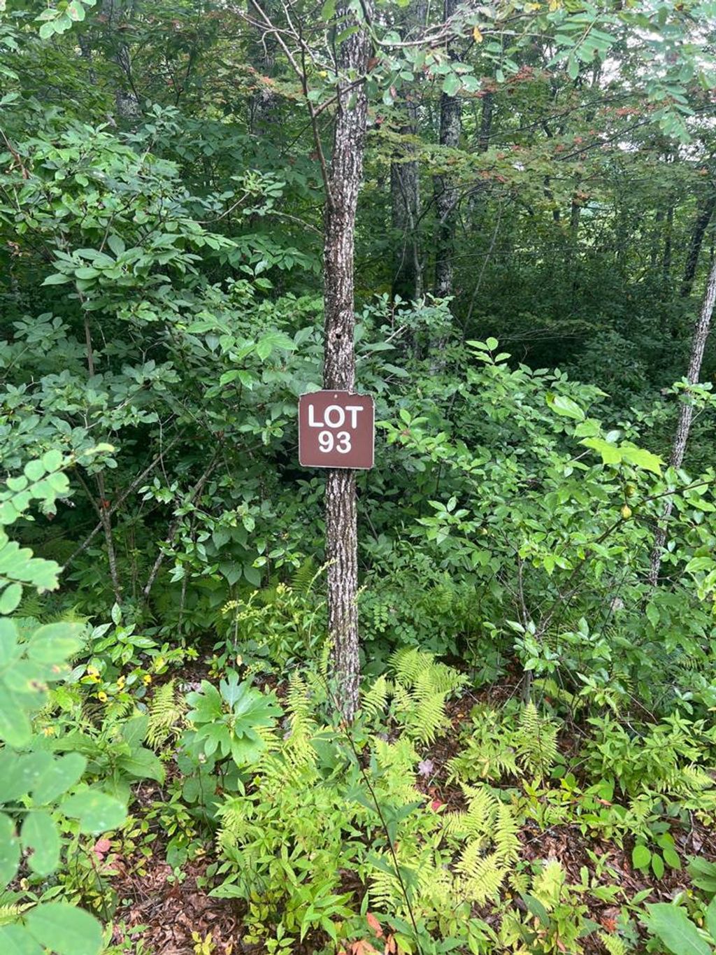 Photo of Lot 93 Garnet Ridge, Sylva, NC 28779 (MLS # 26041860)