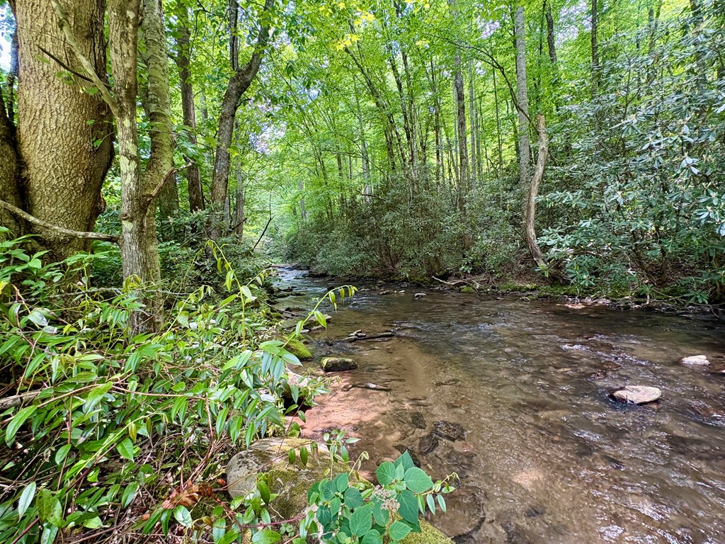 Lot 48 Alarka Road