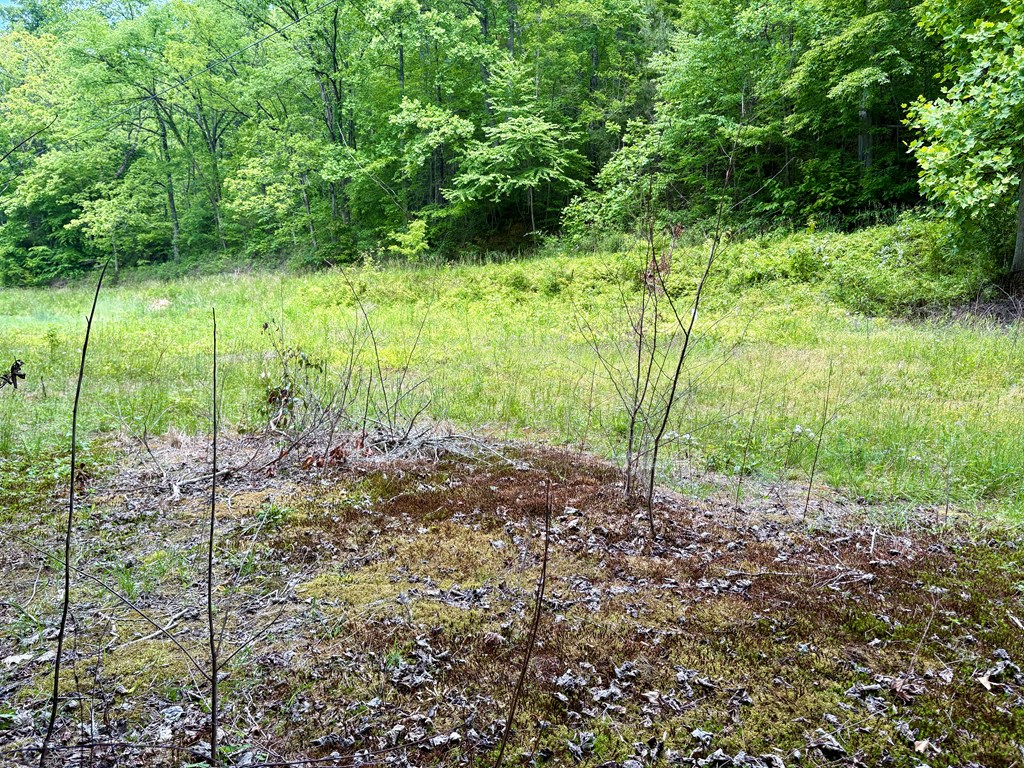 Lot 48 Alarka Road