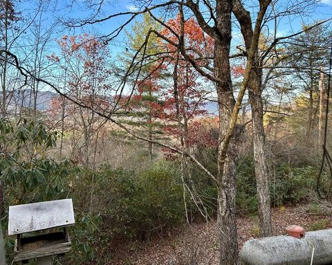 Photo of 950 Lyle Downs Rd, Franklin, NC 28734 (MLS # 26042766)