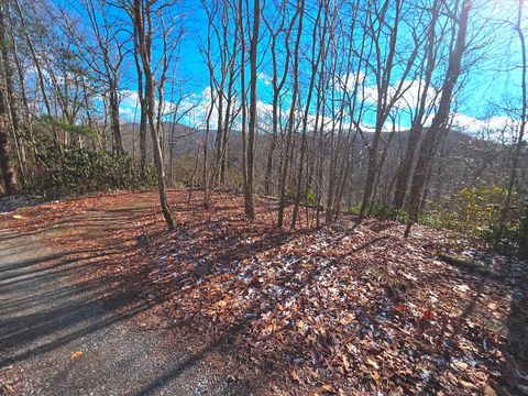 Photo of 550 Sky Dr, Maggie Valley, NC 28751 (MLS # 26043112)