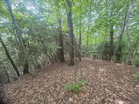 Photo of TBD Tellico Road, Franklin, NC 28734 (MLS # 26047326)