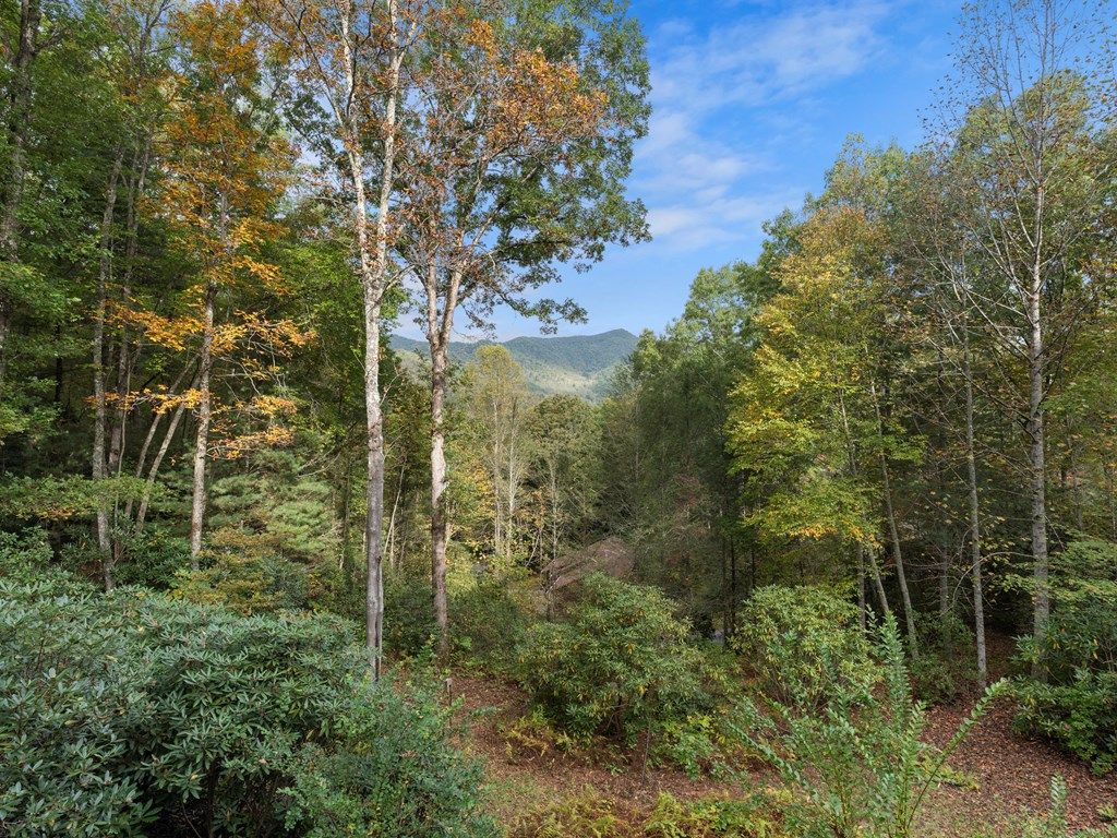 Photo of 296 Ivy Ridge Cir, Sylva, NC 28779 (MLS # 26042396)
