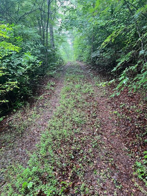 Photo of Lot 55 Highlands Pass, Franklin, NC 28734 (MLS # 26037427)