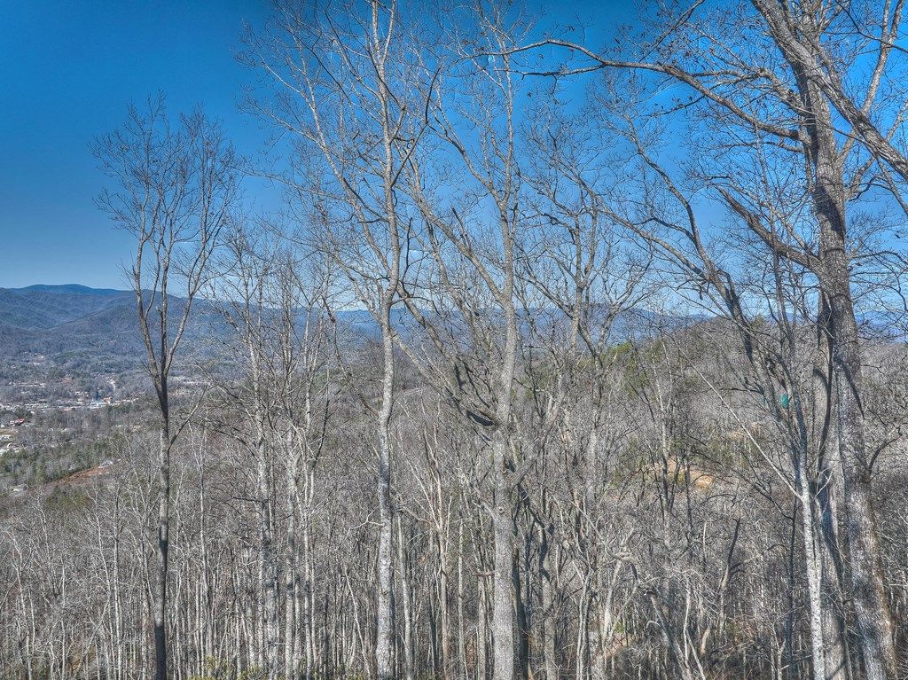Photo of 00 Breedlove Rd, Bryson City, NC 28713 (MLS # 26039889)