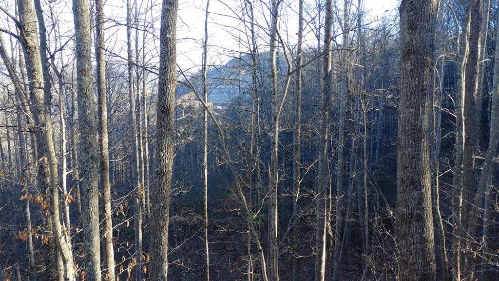 Lot 16 Red Hawk Bluff