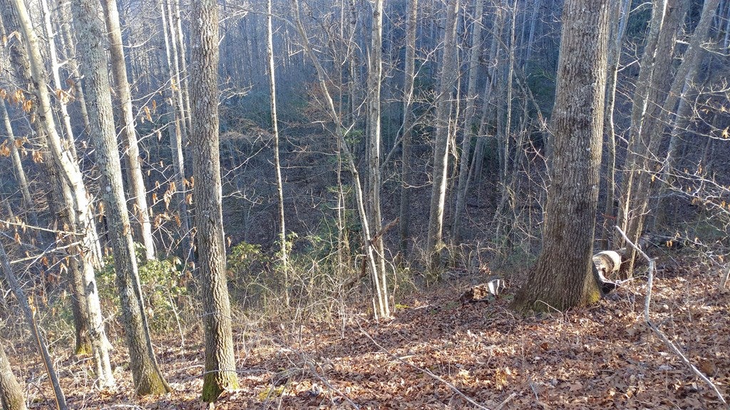 Lot 16 Red Hawk Bluff