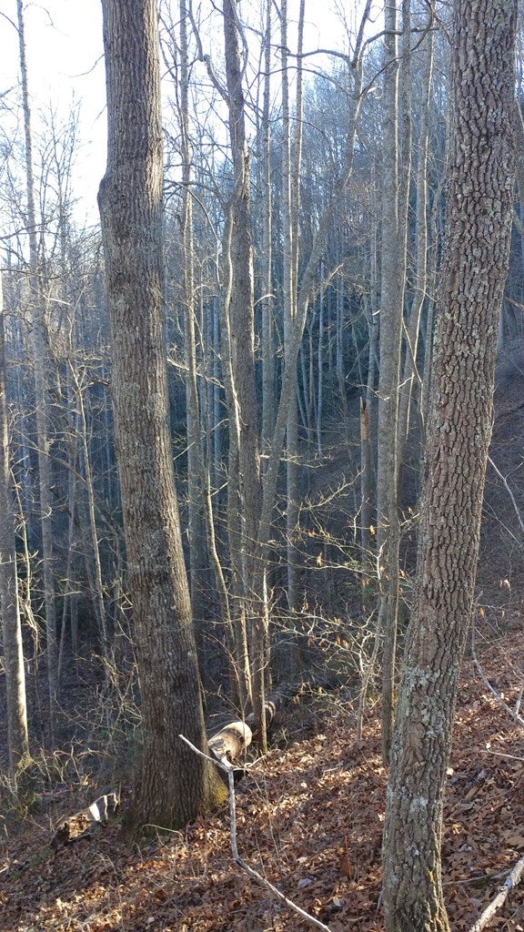 Lot 16 Red Hawk Bluff