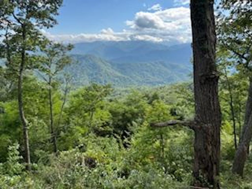 Photo of Lot 30 Hickory Cove Road, Bryson City, NC 28713 (MLS # 26042096)