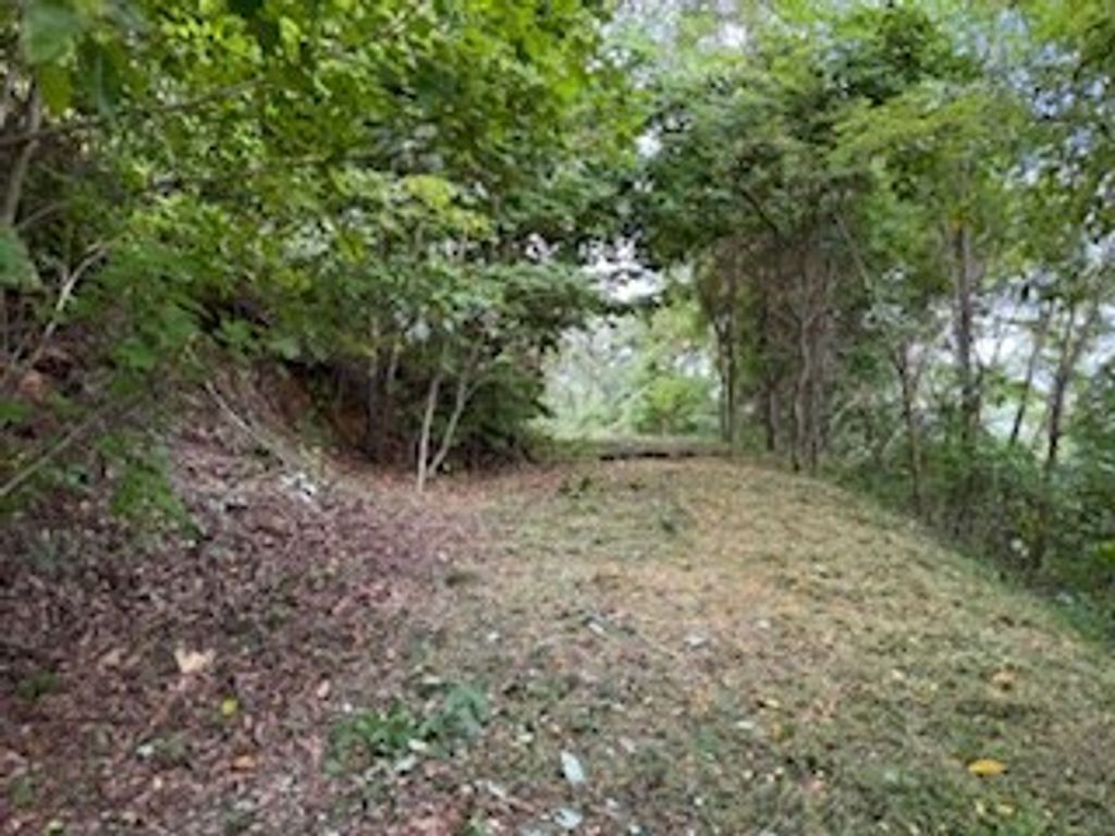 Photo of Lot 30 Hickory Cove Road, Bryson City, NC 28713 (MLS # 26042096)