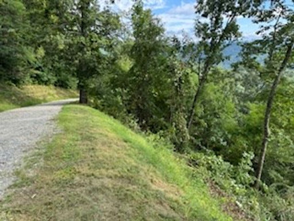 Photo of Lot 30 Hickory Cove Road, Bryson City, NC 28713 (MLS # 26042096)