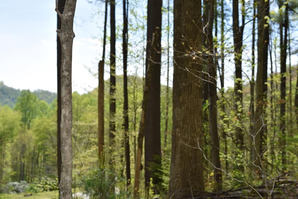 Photo of TBD Cabin Flats, Balsam, NC 28707 (MLS # 26047003)