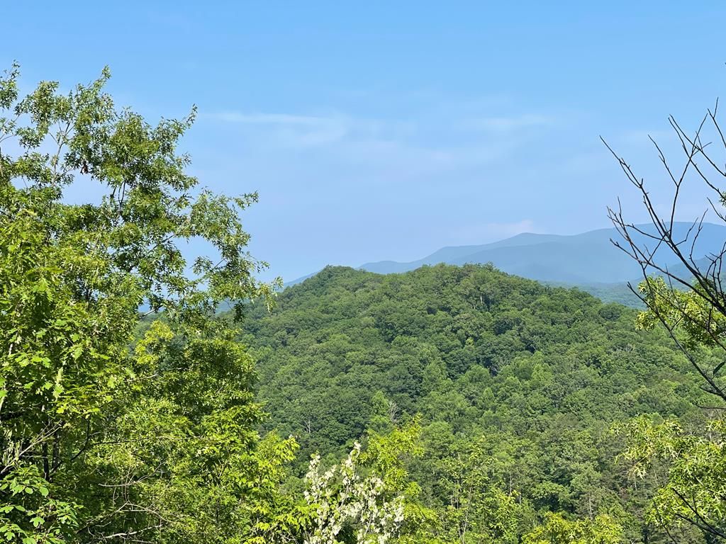 Photo of 600 Fernwood Drive, Bryson City, NC 28713 (MLS # 26041191)