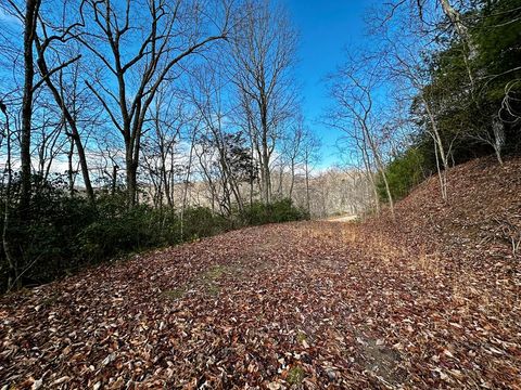 Photo of Lot 47 N. Nickajack Rd, Franklin, NC 28734 (MLS # 26035565)