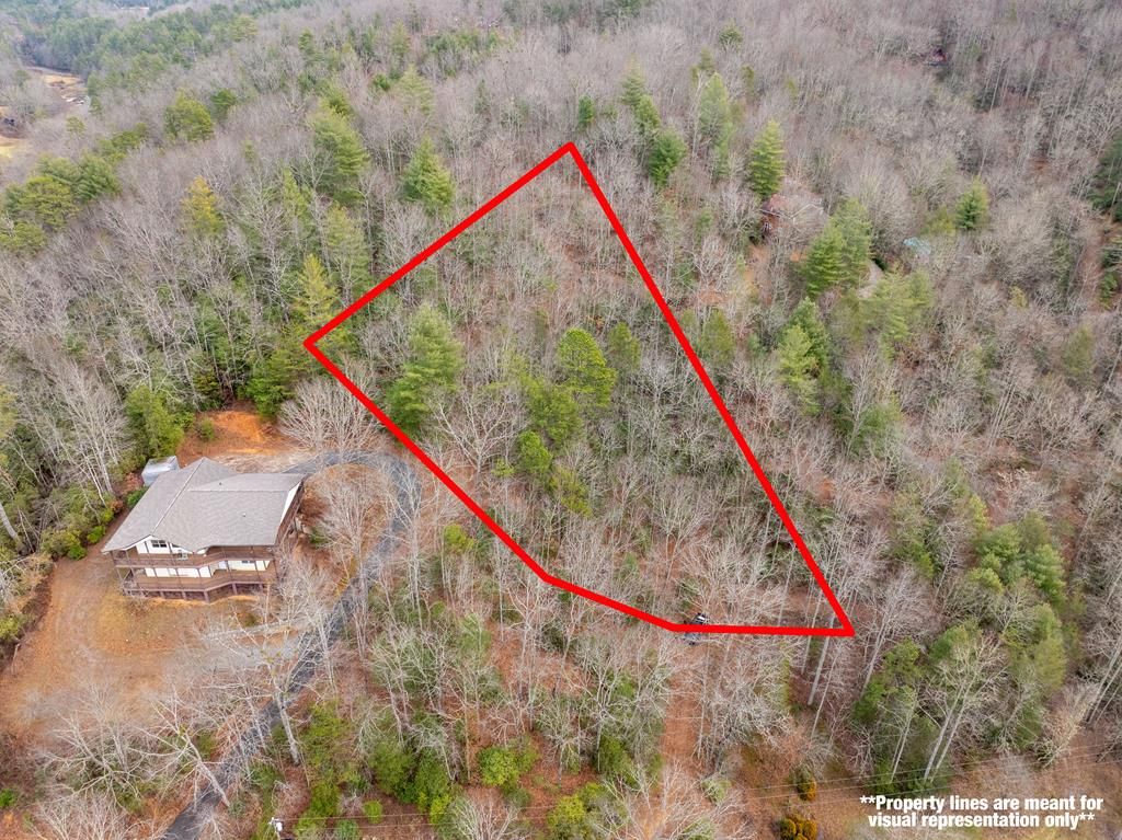 Photo of 999 Hillside Terrace, Robbinsville (Graham), NC 28771 (MLS # 26042966)