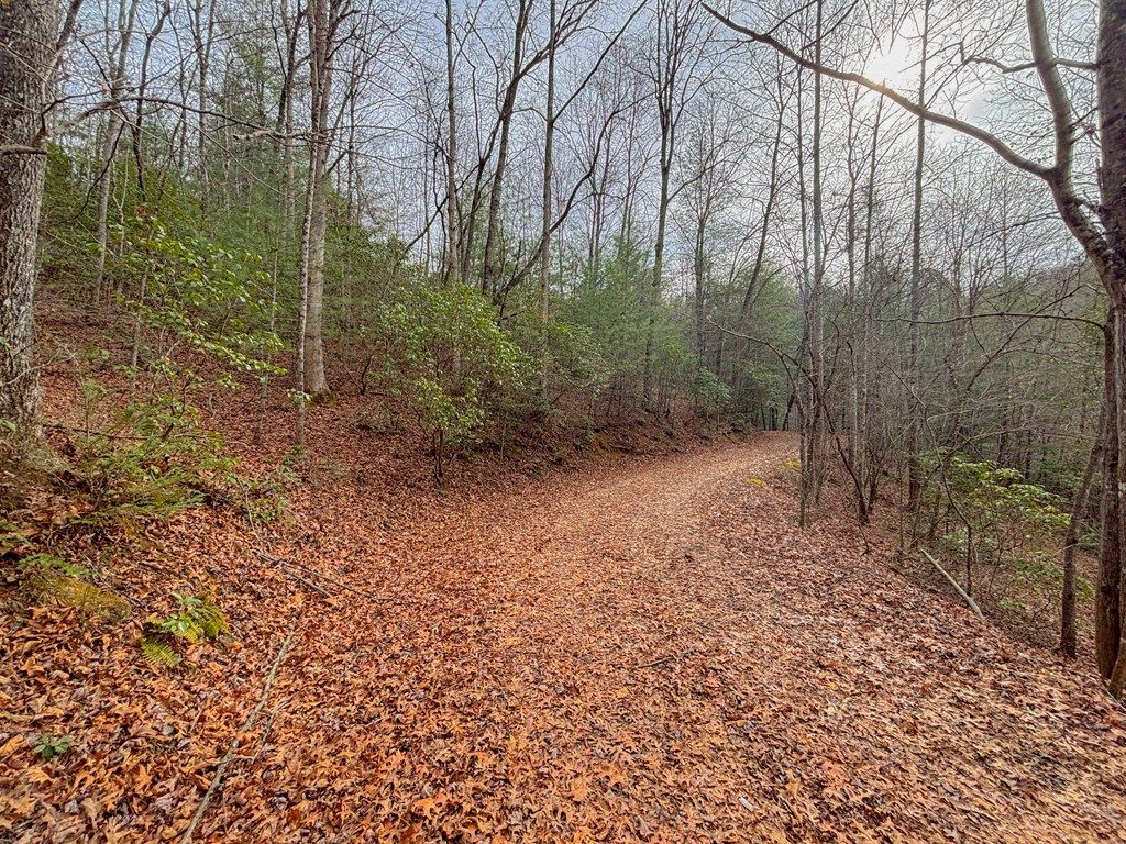 Photo of 999 Hillside Terrace, Robbinsville (Graham), NC 28771 (MLS # 26042966)