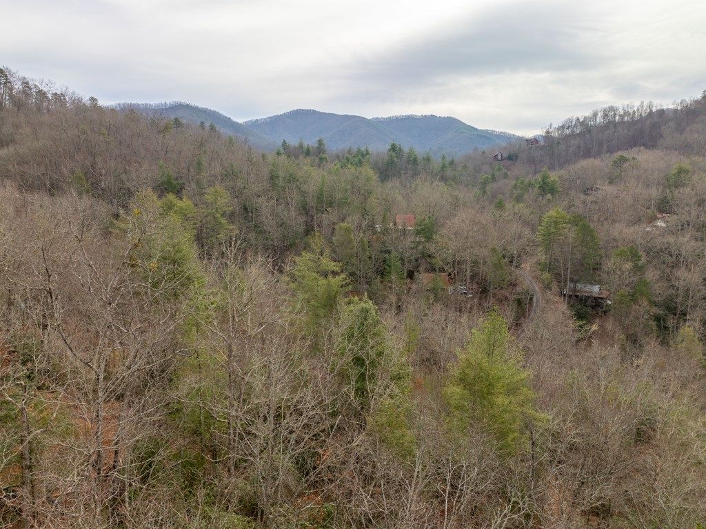 Photo of 999 Hillside Terrace, Robbinsville (Graham), NC 28771 (MLS # 26042966)