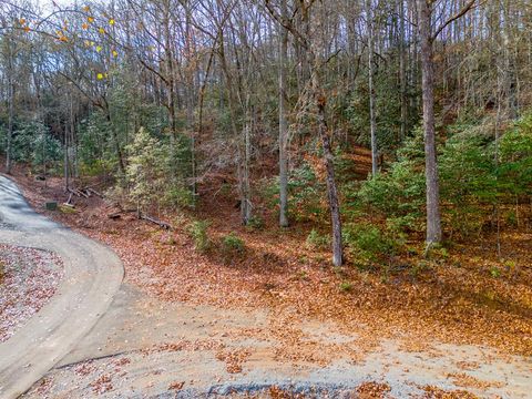 Photo of 00 Elevation Rd, Franklin, NC 28734 (MLS # 26039295)
