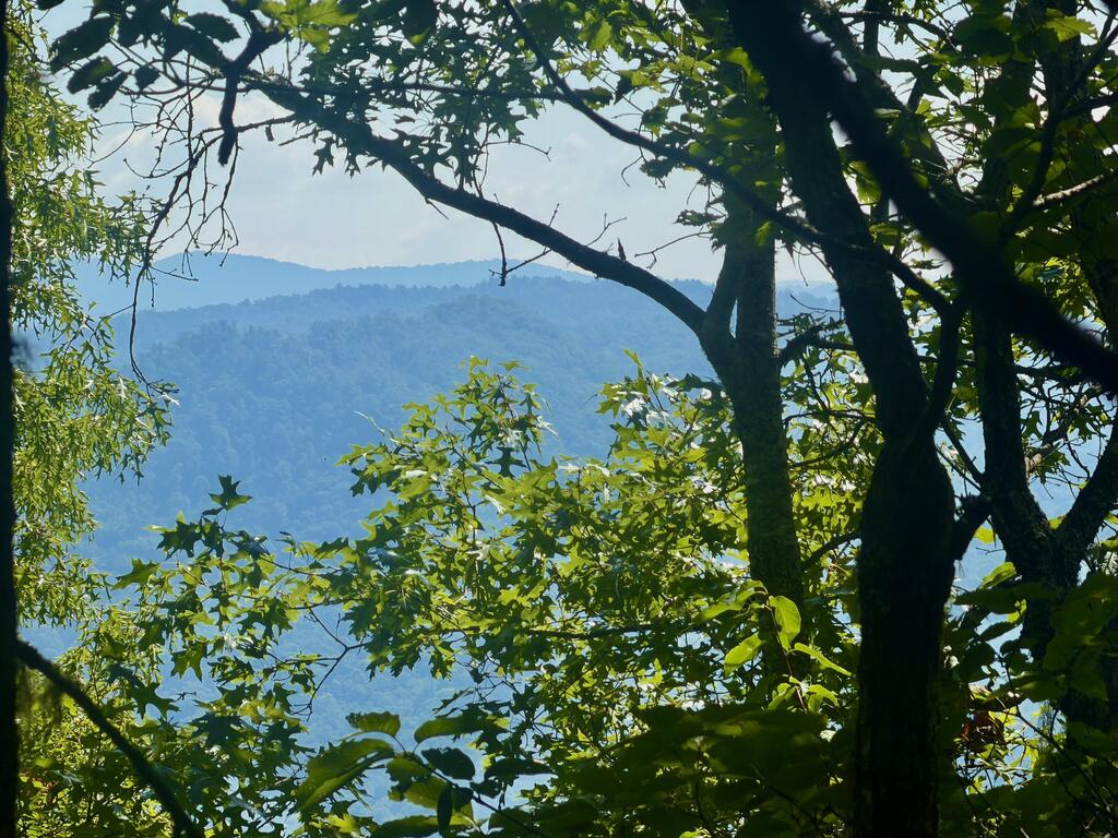 Photo of Lot 67 Longview Ridge, Sylva, NC 28779 (MLS # 26048639)