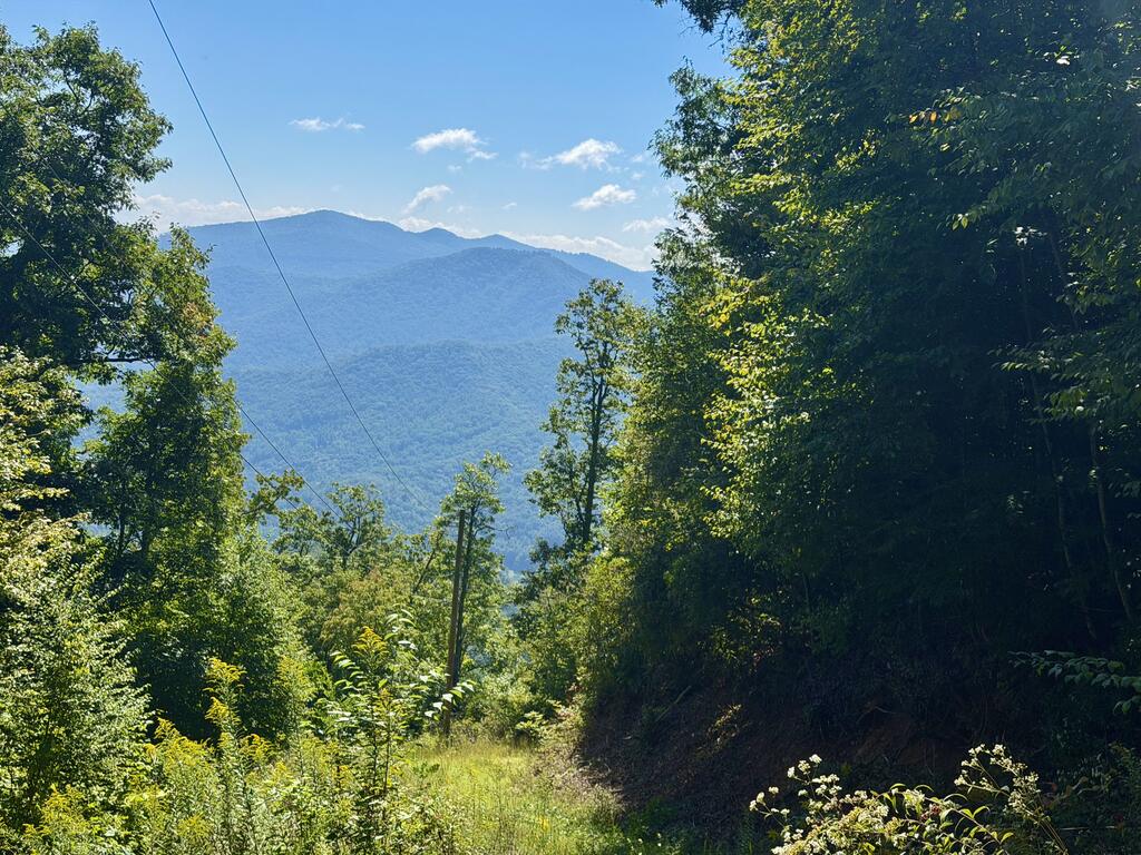 Photo of Lot 67 Longview Ridge, Sylva, NC 28779 (MLS # 26048639)