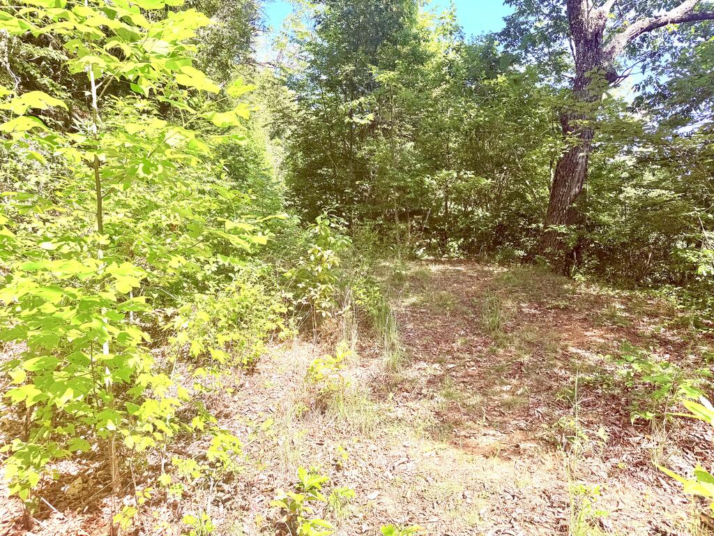Photo of Lot 67 Longview Ridge, Sylva, NC 28779 (MLS # 26048639)