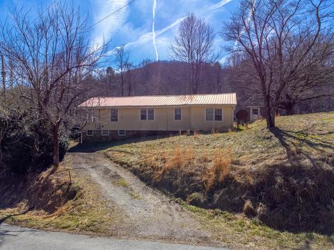 Photo of 209 Mccurry Road, Bryson City, NC 28713 (MLS # 26045442)