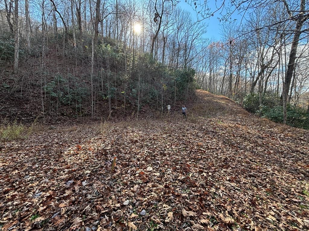 Photo of OFF Houston Farm Road, Bryson City, NC 28713 (MLS # 26039390)