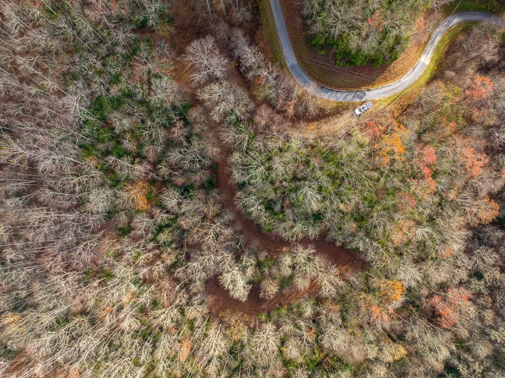 Photo of OFF Houston Farm Road, Bryson City, NC 28713 (MLS # 26039390)