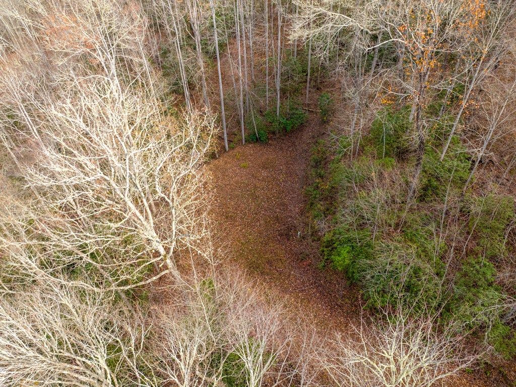 Photo of OFF Houston Farm Road, Bryson City, NC 28713 (MLS # 26039390)