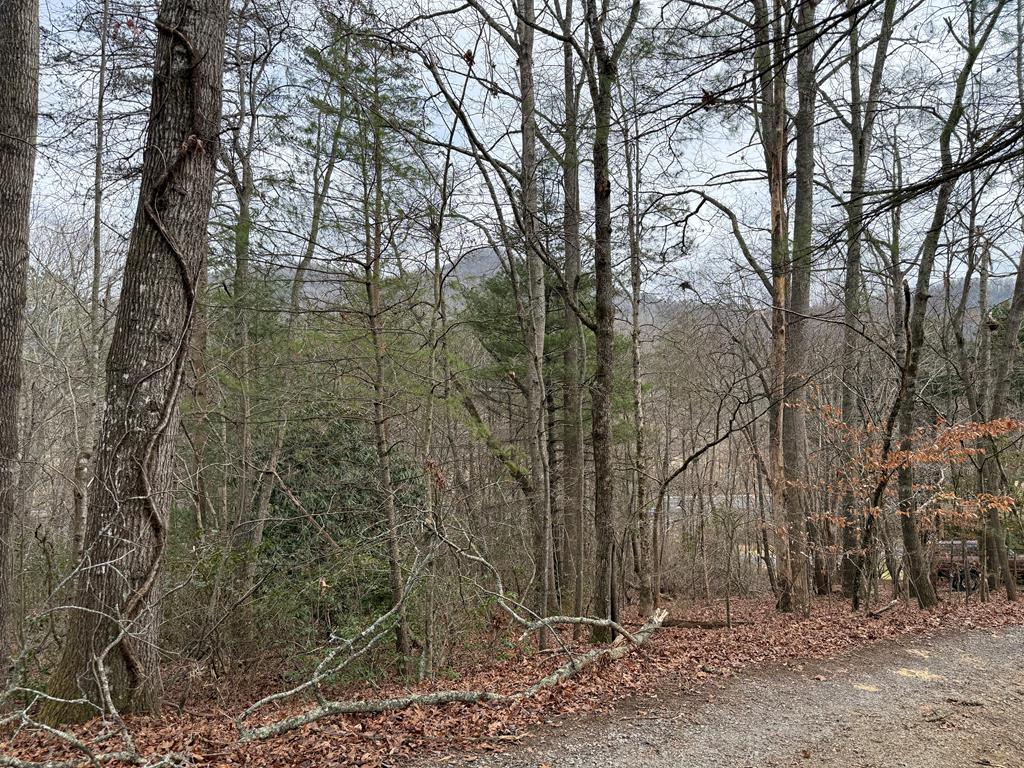Lot 31 Ideal Acres