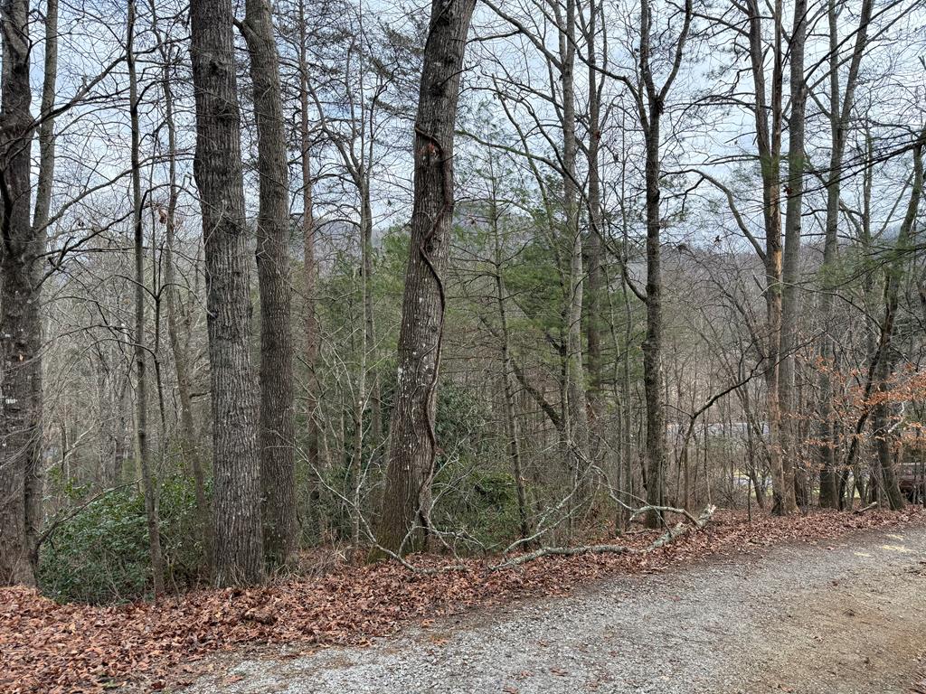 Lot 31 Ideal Acres