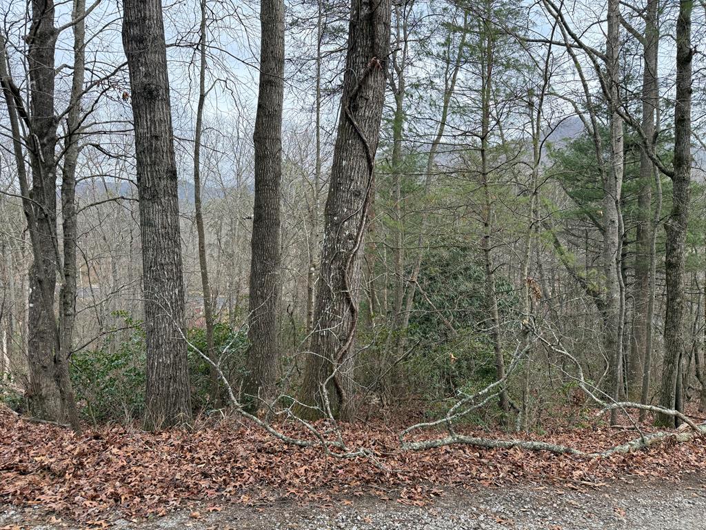 Lot 31 Ideal Acres