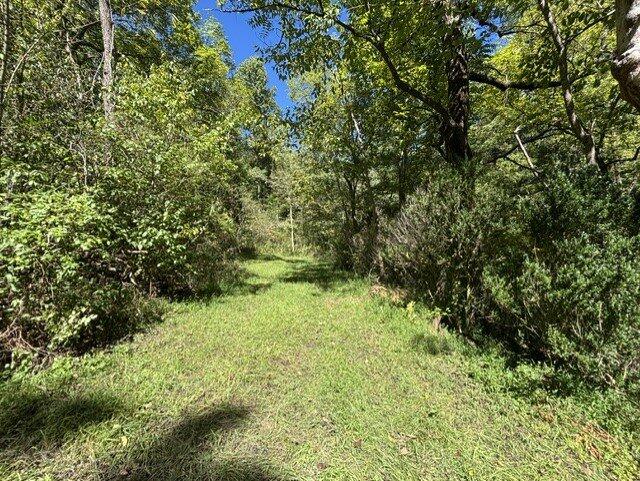 611 Davis Branch Rd