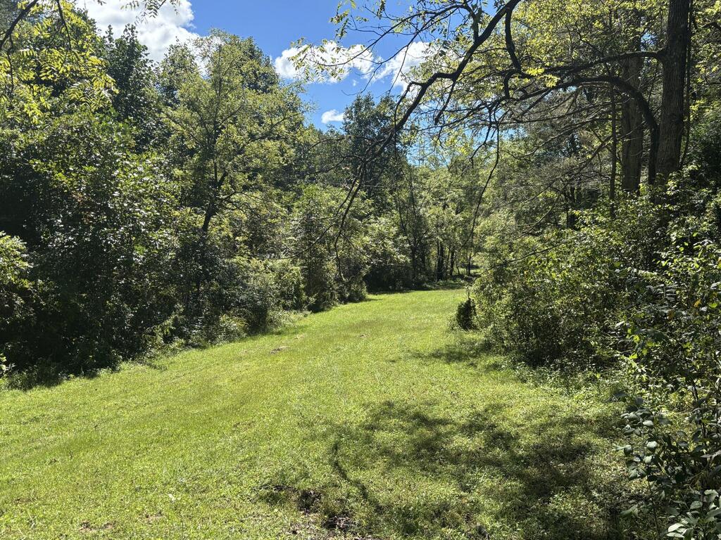 611 Davis Branch Rd