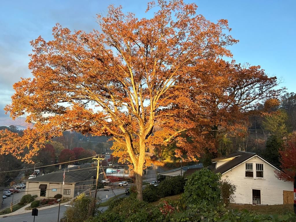 Photo of 16 Drury Lane, Sylva, NC 28779 (MLS # 26042623)