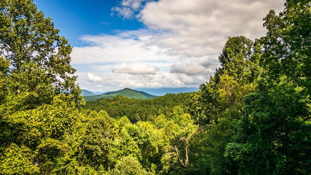 Photo of 310 Moonlight Drive, Bryson City, NC 28713 (MLS # 26041949)