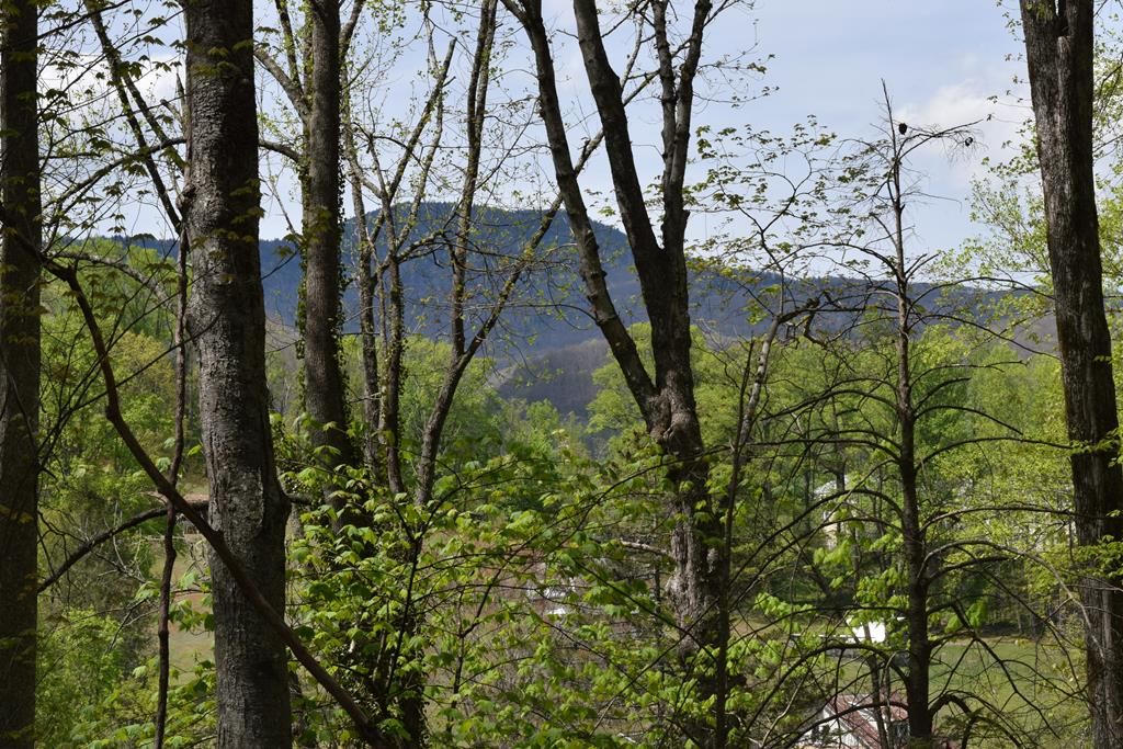 Photo of TBD Cabin Flats, Balsam, NC 28707 (MLS # 26047004)