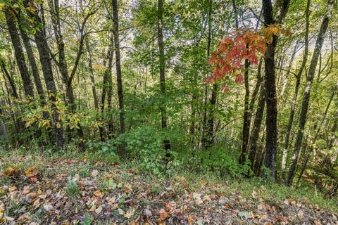 Photo of 00 Featherstone Drive, Franklin, NC 28734 (MLS # 26048833)